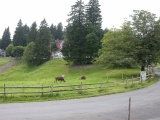 Gottschalkenberg
