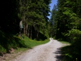 Elendsattel