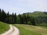 Sattelteuffi