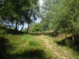 Forcoletta (Monte Sirti)
