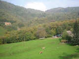 Gola di Lago