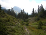 Scheidegg