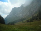 Scheidegg