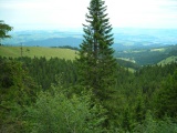 Selibüelsattel