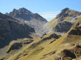 Wildseeluggen