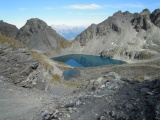 Wildseeluggen