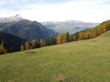 Obermutten