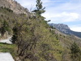 Col de l'Hysope