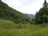Gwidemhöchi