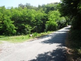 Passo di Nonani