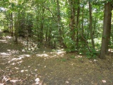 Col delle Vigne