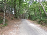 Colma di Valpiana (Piana della Sella)