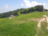 Alplisattel