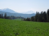 Sätteli