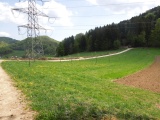 Engihöchi