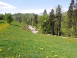 Hulftegg