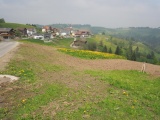 Schüregg