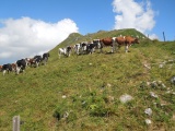 Col de Tremetta