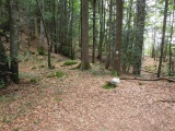 Pas du Loup
