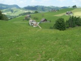 Brandhöchi