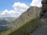 Collet Vert