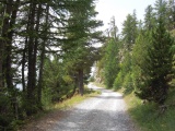 Colle Bercia