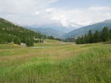 Colle Bercia
