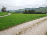 Rinderstieg