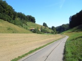 Talhöchi