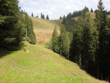 Milpachsattel