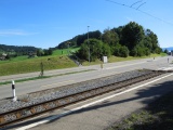 Hebrig
