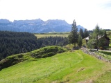 Platte