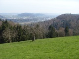 Rinderplatz