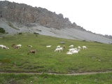 Passo di Valle Alpisella