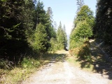 Foppatälaloch