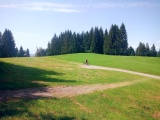 Berg