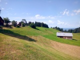 Losenpass