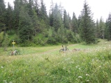 Flattnitzer Höhe Süd