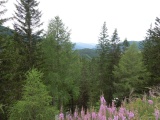 Katschbergerhöhe