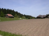 Müliseile