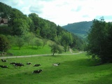 La Malcôte