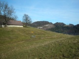 Schwängihöchi