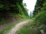 Horbüelpass