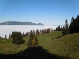 Schwand