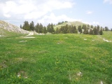 Col du Mont Tendre