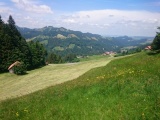 Obermattegg