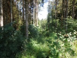 Haut de la Montée