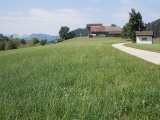 Mittlere Bühl