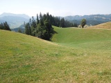 Sampach